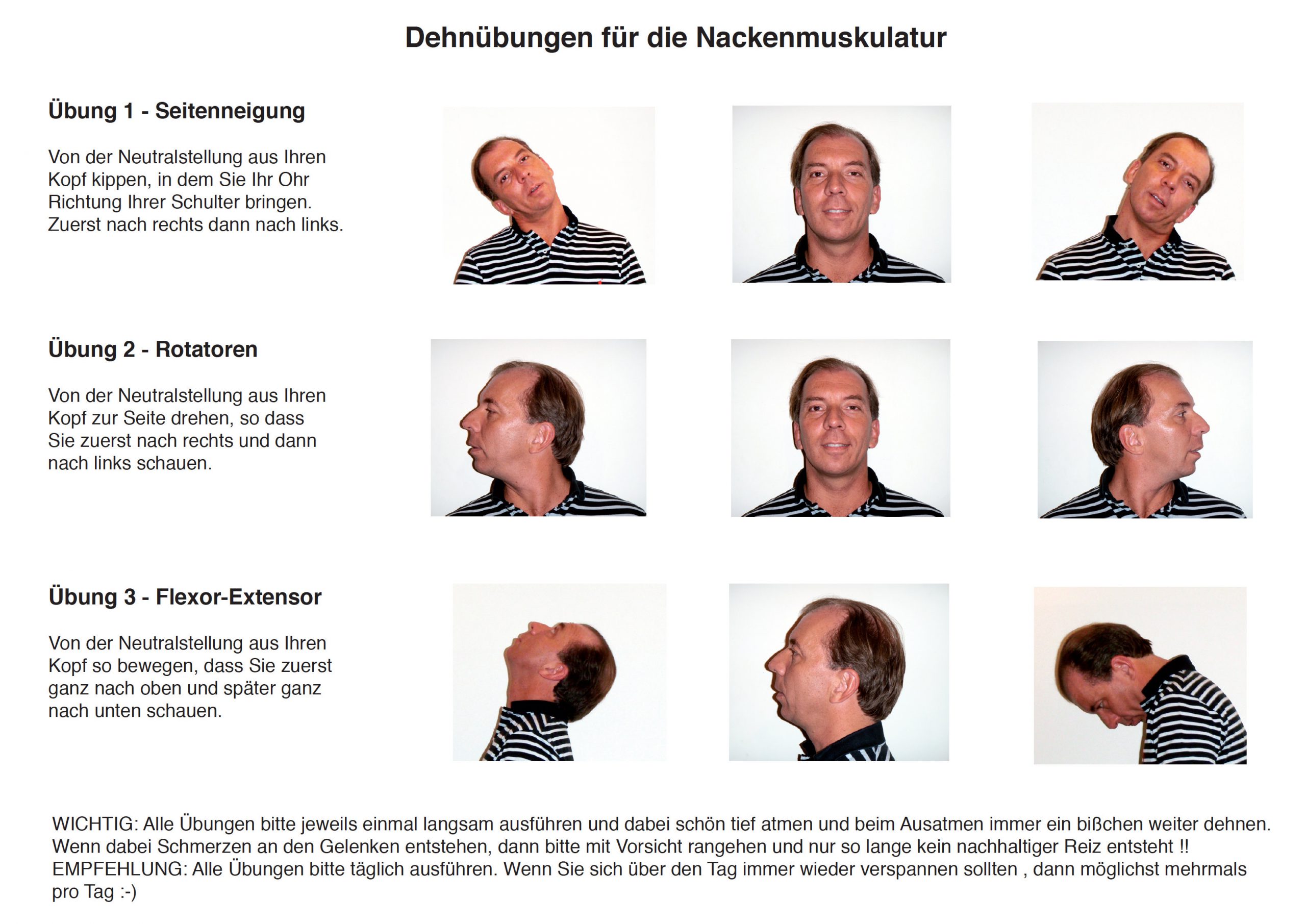 Halswirbel Dehnungen